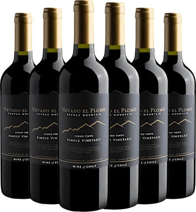 Kit 6 Nevado El Plomo Sacred Moutain Single Vineyard Tinto