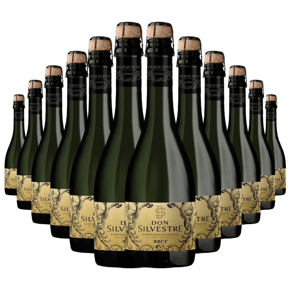 Kit 12 Garrafas Espumante Don Silvestre Brut
