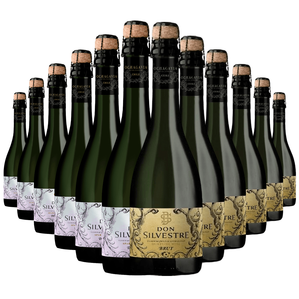 Kit 12 Garrafas Espumante Don Silvestre Demi-Sec e Brut