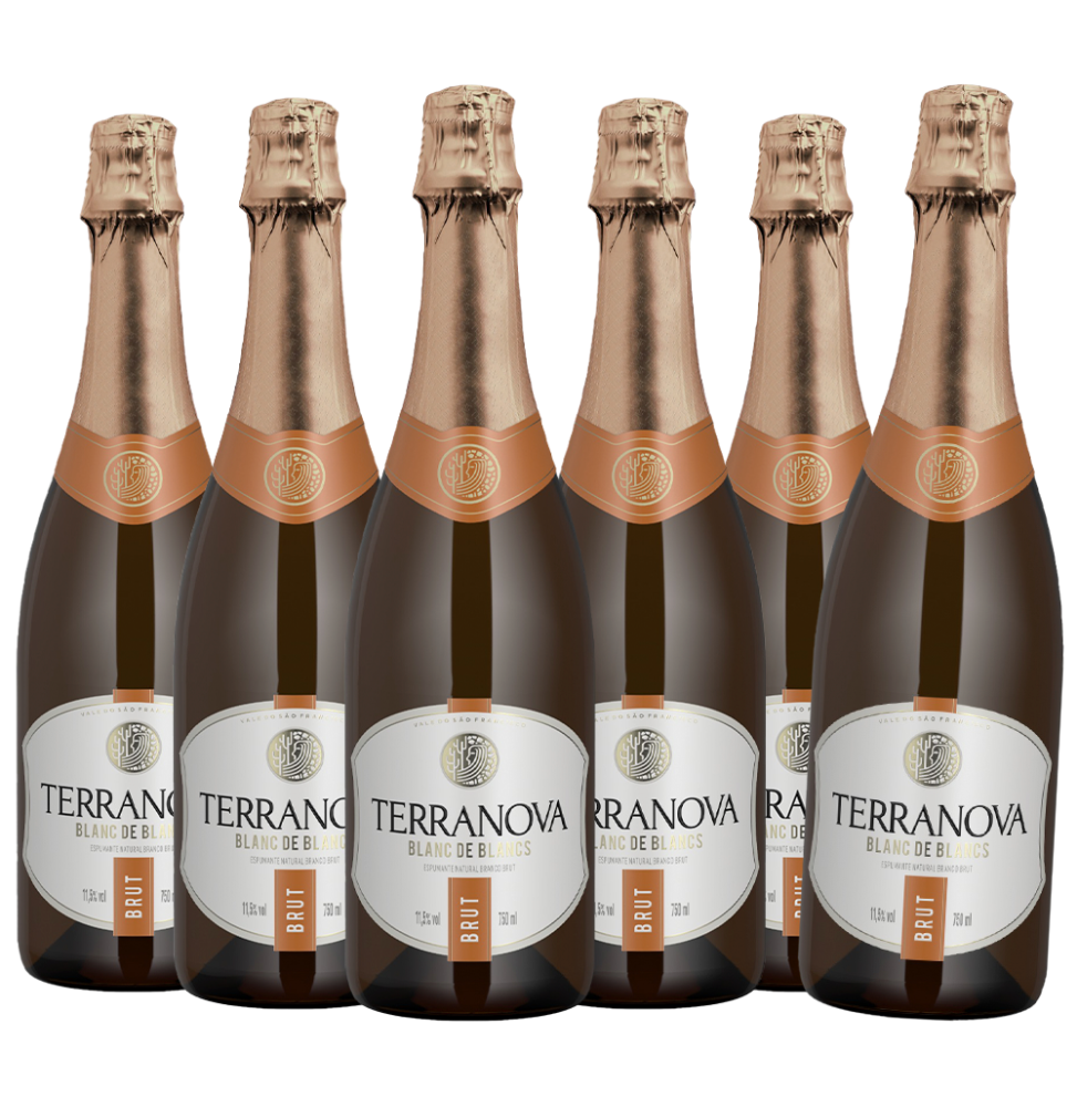 Pack 6 Espumantes Terranova Brut 750ml