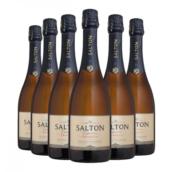 Pack 6 Espumantes Salton Prosecco 750ml