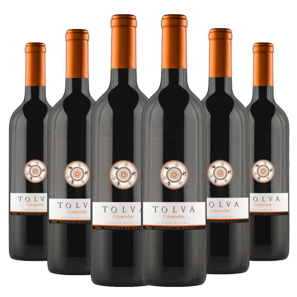 Kit 6 Garrafas Vinho Tolva Carménère