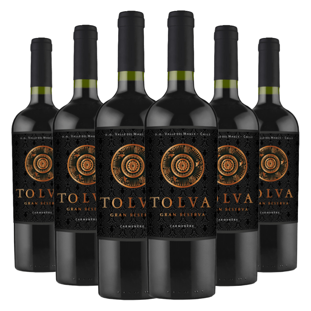 Kit Caixa Fechada 6 Garrafas Vinho Tolva Gran Reserva Carménère