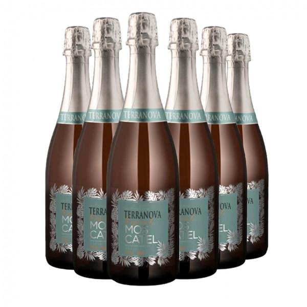 Pack 6 Espumantes Terranova Moscatel 750ml
